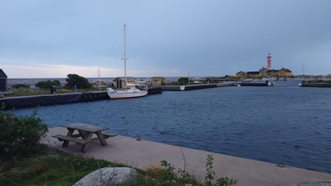 Foto: Windjule auf Utklippan